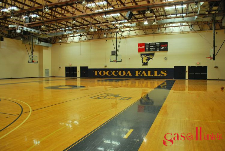 实木地板和复合地板各是什么地板