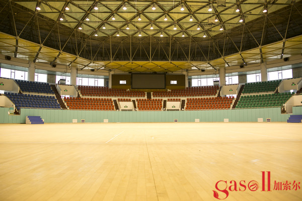 弹性运动木地板品牌电话2